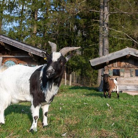 Apartamento Knoglerhof Inkl. Chiemgaukarte Ruhpolding Exterior foto